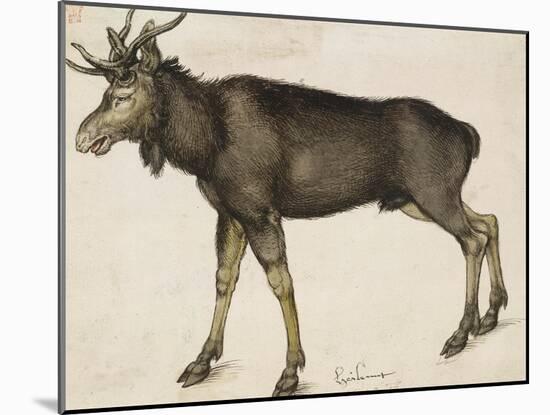 Elk-Albrecht Dürer-Mounted Art Print