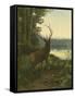 Elk-Oliver Kemp-Framed Stretched Canvas