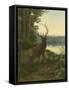 Elk-Oliver Kemp-Framed Stretched Canvas