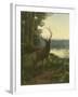 Elk-Oliver Kemp-Framed Art Print