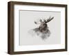 Elk-Gabriella Roberg-Framed Giclee Print