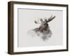 Elk-Gabriella Roberg-Framed Giclee Print