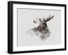 Elk-Gabriella Roberg-Framed Giclee Print