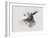 Elk-Gabriella Roberg-Framed Giclee Print