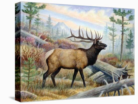 Elk-Ron Jenkins-Stretched Canvas