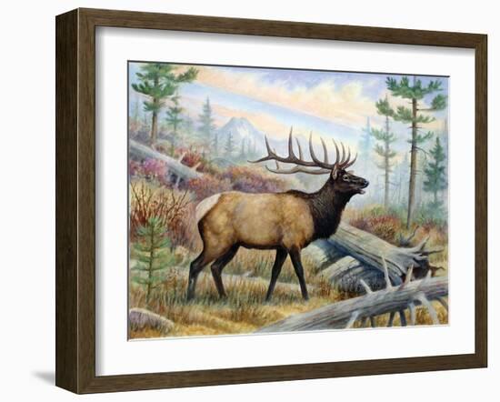 Elk-Ron Jenkins-Framed Art Print