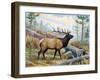 Elk-Ron Jenkins-Framed Art Print