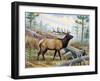 Elk-Ron Jenkins-Framed Art Print