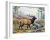 Elk-Ron Jenkins-Framed Art Print