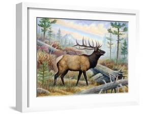 Elk-Ron Jenkins-Framed Art Print