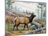 Elk-Ron Jenkins-Mounted Art Print