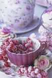 Bust of Girl Beside Crockery and Roses-Elke Borkowski-Photographic Print