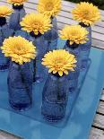 Yellow Gerberas in Blue Bottles-Elke Borkowski-Photographic Print