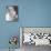 Elke Sommer-null-Mounted Photo displayed on a wall