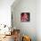 Elke Sommer-null-Stretched Canvas displayed on a wall