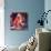 Elke Sommer-null-Stretched Canvas displayed on a wall