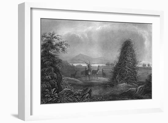 Elkhorn Pyramid-null-Framed Art Print