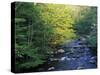 Elkmount Area, Great Smoky Mountains National Park, Tennessee, USA-Darrell Gulin-Stretched Canvas