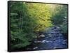 Elkmount Area, Great Smoky Mountains National Park, Tennessee, USA-Darrell Gulin-Framed Stretched Canvas