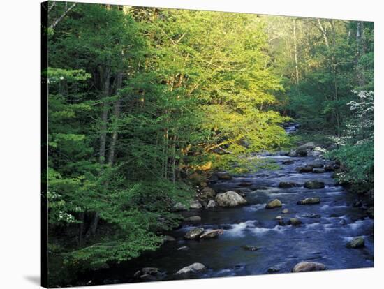 Elkmount Area, Great Smoky Mountains National Park, Tennessee, USA-Darrell Gulin-Stretched Canvas