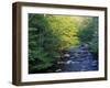 Elkmount Area, Great Smoky Mountains National Park, Tennessee, USA-Darrell Gulin-Framed Premium Photographic Print