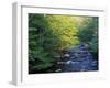 Elkmount Area, Great Smoky Mountains National Park, Tennessee, USA-Darrell Gulin-Framed Premium Photographic Print