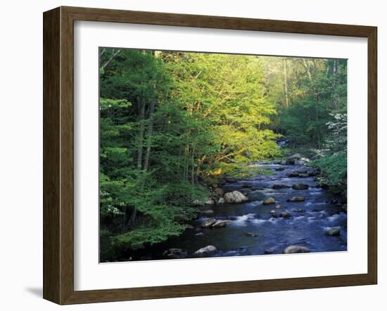 Elkmount Area, Great Smoky Mountains National Park, Tennessee, USA-Darrell Gulin-Framed Photographic Print