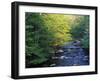 Elkmount Area, Great Smoky Mountains National Park, Tennessee, USA-Darrell Gulin-Framed Photographic Print