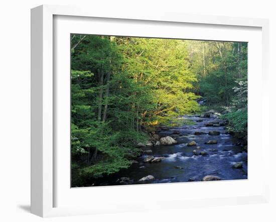 Elkmount Area, Great Smoky Mountains National Park, Tennessee, USA-Darrell Gulin-Framed Photographic Print