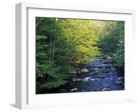 Elkmount Area, Great Smoky Mountains National Park, Tennessee, USA-Darrell Gulin-Framed Photographic Print