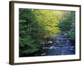 Elkmount Area, Great Smoky Mountains National Park, Tennessee, USA-Darrell Gulin-Framed Photographic Print