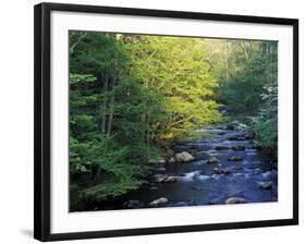 Elkmount Area, Great Smoky Mountains National Park, Tennessee, USA-Darrell Gulin-Framed Photographic Print