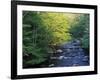 Elkmount Area, Great Smoky Mountains National Park, Tennessee, USA-Darrell Gulin-Framed Photographic Print