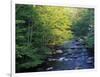 Elkmount Area, Great Smoky Mountains National Park, Tennessee, USA-Darrell Gulin-Framed Photographic Print