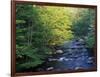 Elkmount Area, Great Smoky Mountains National Park, Tennessee, USA-Darrell Gulin-Framed Photographic Print