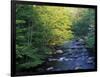 Elkmount Area, Great Smoky Mountains National Park, Tennessee, USA-Darrell Gulin-Framed Photographic Print