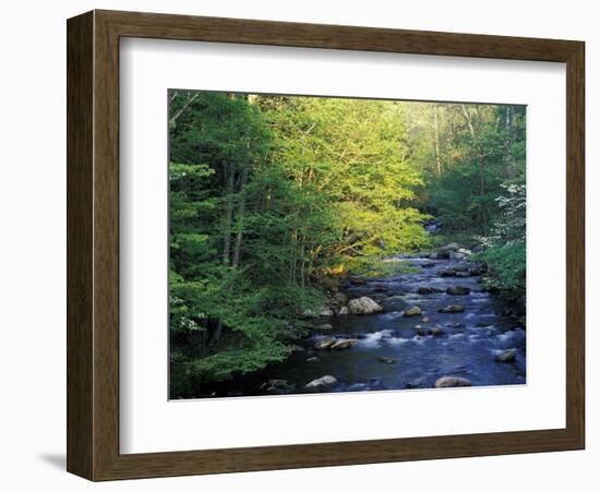 Elkmount Area, Great Smoky Mountains National Park, Tennessee, USA-Darrell Gulin-Framed Photographic Print