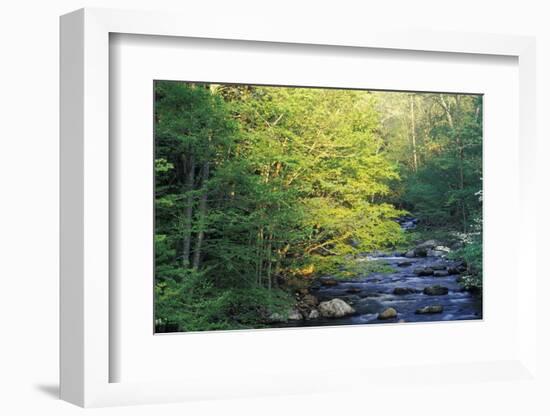 Elkmount Area, Great Smoky Mountains National Park, Tennessee, USA-Darrell Gulin-Framed Photographic Print