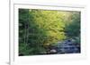 Elkmount Area, Great Smoky Mountains National Park, Tennessee, USA-Darrell Gulin-Framed Photographic Print