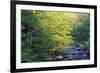 Elkmount Area, Great Smoky Mountains National Park, Tennessee, USA-Darrell Gulin-Framed Photographic Print