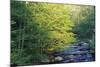 Elkmount Area, Great Smoky Mountains National Park, Tennessee, USA-Darrell Gulin-Mounted Photographic Print