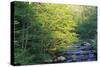 Elkmount Area, Great Smoky Mountains National Park, Tennessee, USA-Darrell Gulin-Stretched Canvas