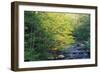 Elkmount Area, Great Smoky Mountains National Park, Tennessee, USA-Darrell Gulin-Framed Photographic Print