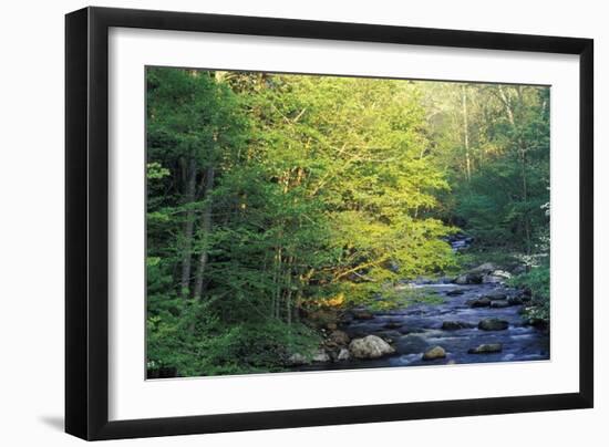 Elkmount Area, Great Smoky Mountains National Park, Tennessee, USA-Darrell Gulin-Framed Photographic Print