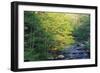 Elkmount Area, Great Smoky Mountains National Park, Tennessee, USA-Darrell Gulin-Framed Photographic Print