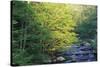 Elkmount Area, Great Smoky Mountains National Park, Tennessee, USA-Darrell Gulin-Stretched Canvas