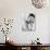 Ella Fitzgerald (1917-1996)-Carl Van Vechten-Giclee Print displayed on a wall
