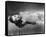 Ella Raines-null-Framed Stretched Canvas