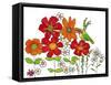 Ella's Garden-Blenda Tyvoll-Framed Stretched Canvas