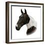 Ella-Aron Gadd-Framed Giclee Print